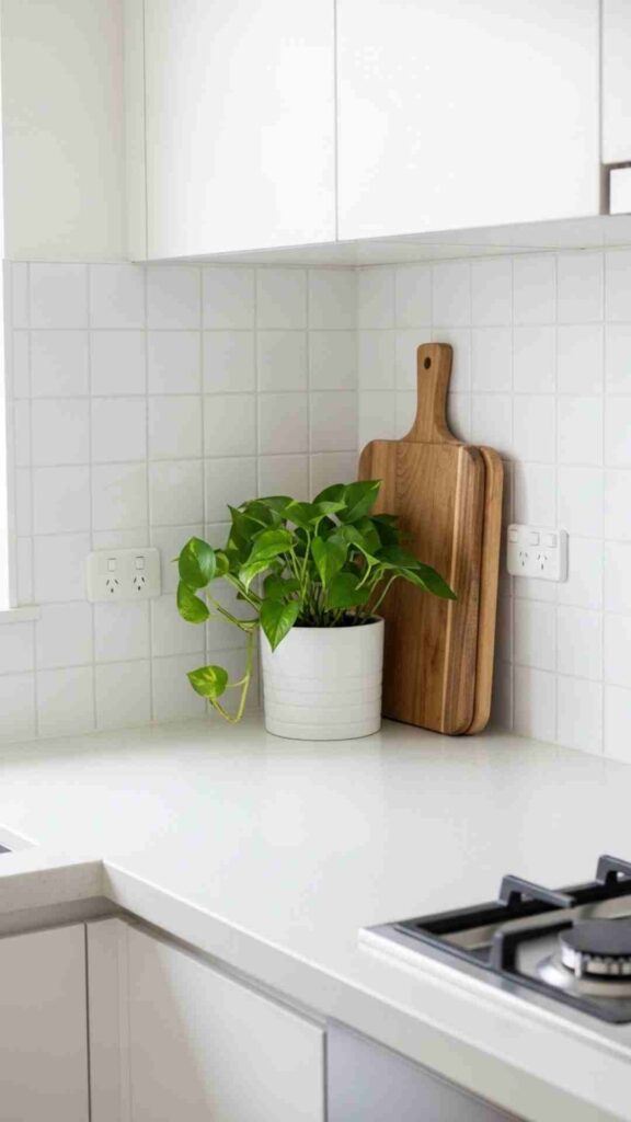 Modern Kitchen Plant Ideas